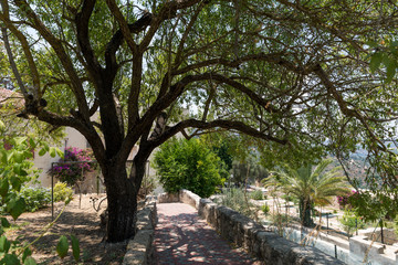 Visiting Ein Kerem in Jerusalem