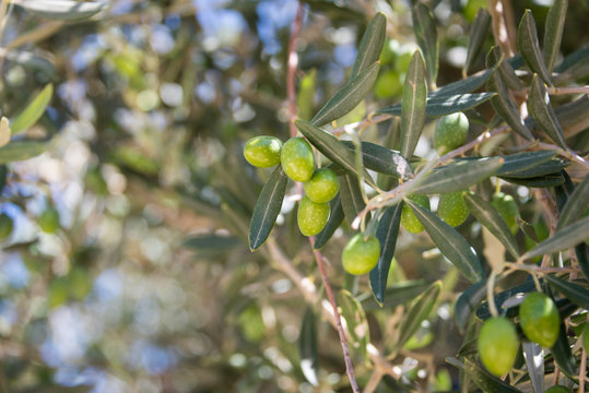 Tzurim Valley National Park in Jerusalem