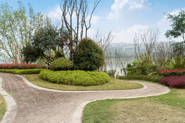 Landscape and trees and plants in the park