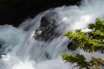 A long exposure shot of brilliant green pine needles hanging over a beautiful forest waterfall 