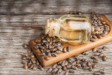 Castor oil and seeds on wood, space for text