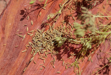 cumin seeds and plants on wooden floor,beautiful view of cumin seeds and plants