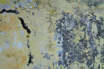 weathered wall with mold and cracked paint