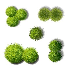 Set of tree top view isolated for landscape plan or gardening 