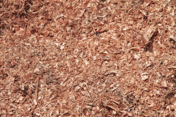 a close up of saw dust texture