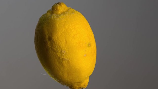 timelapse yellow lemon fruit rotate on grey background