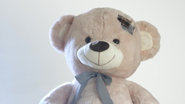 Large stuffed toy teddy bear nodding and wiggling ears in slow motion. Happiness and approval concept