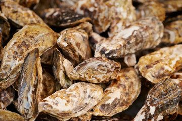 fresh seafood at the market