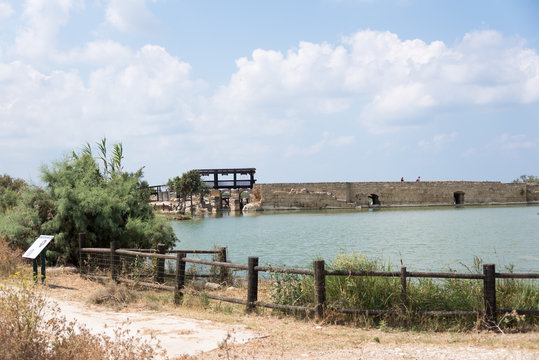 Taninim Stream Nature Reserve in Israel