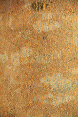 a close up of tree skin texture