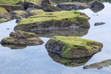 Beautiful stones on the Jeju island