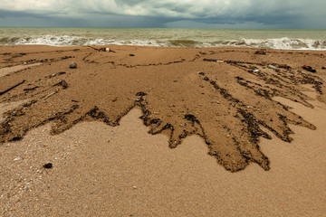 garbage on the beach