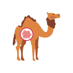 camel with mers covid 19 virus icon, flat style