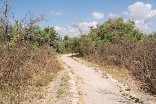 Taninim Stream Nature Reserve in Israel