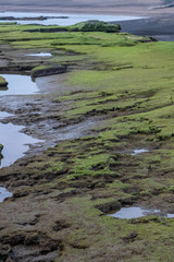 Beautiful stones on the Jeju island