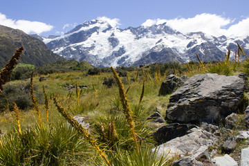 Mt Cook New Zealand