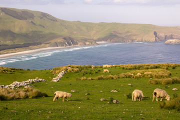 New Zealand South Island