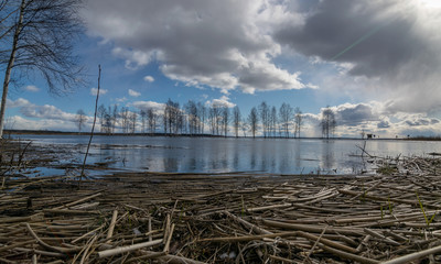 Obraz premium sunny landscape with a lake in the distance and dry reeds in the foreground