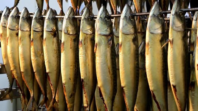 fish hang smoked factory rack row prepared