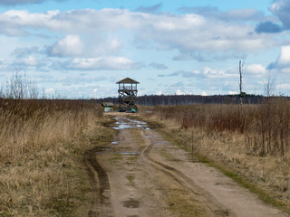 Fototapeta na wymiar landscape with dirt road and bird watching tower