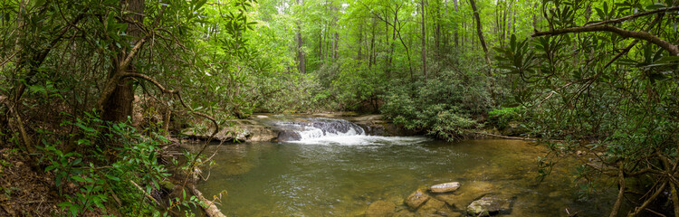 Cascade Fall stream in the forest Pano Upstate South Carolina