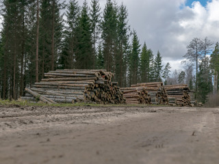 A stack of wooden logs piled on the side of the road