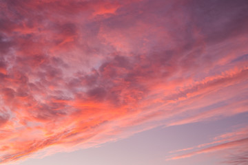 stripes of sunset in the sky of bright orange and pink colors