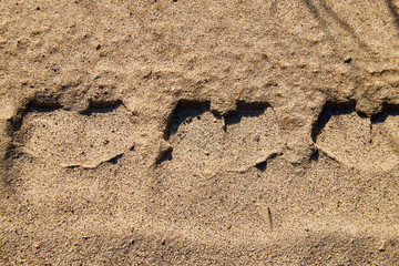 Tyre prints on the yellow sand. Nature background or texture