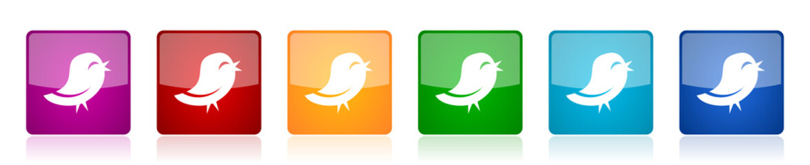 Twitter icon set, colorful square glossy vector illustrations in 6 options for web design and mobile applications