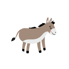 Cute donkey