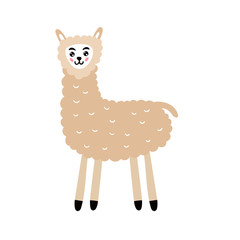 Cute fluffy llama