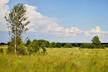 Autumn nature landscape with field, blue sky and clouds