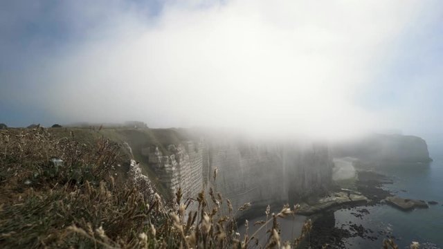 Misty morning fog at the natural cliffs covered by green meadow, seaside resort. Action. Close up of grass and flowers and the high rock with steep slope.