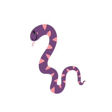 Cute snake