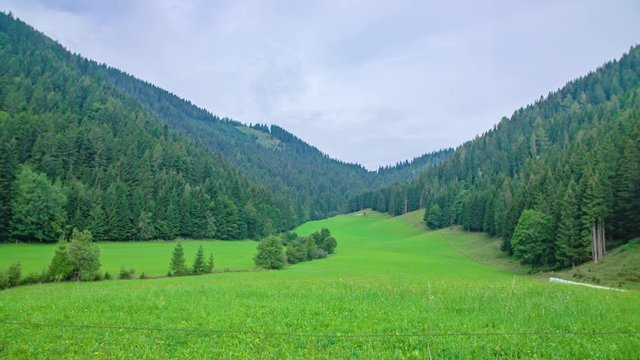 Lush green serene landscape woods of Topla Valley Slovenia