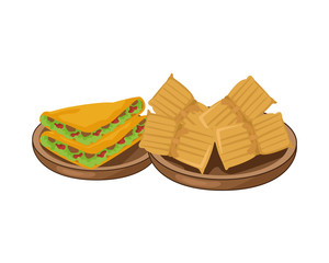 quesadillas and nachos delicious mexican food