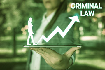 Handwriting text Criminal Law. Conceptual photo legal system which relates to punishing those commits crime