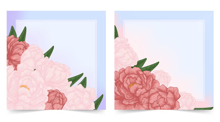 Abstract Pink and red Peonies with leaves in bloom. Set for square invitation Card, Wedding card, Greeting card or Valentine card. Vector Illustration.