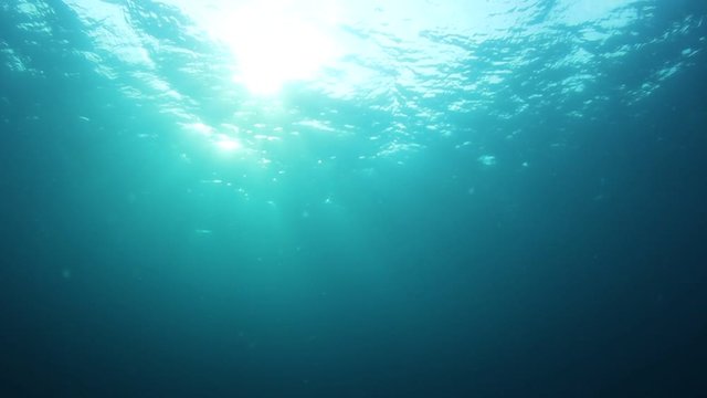 Underwater sunlight in blue ocean video	