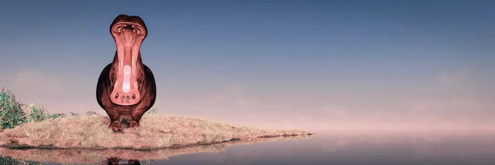 Fotobehang Afrika hippopotamus in the wild  © juanjo