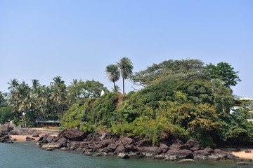 view of greenery just beside the ocean in dona paula in Goa