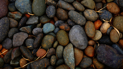 stone background. pebbles on the beach