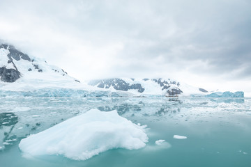 iceberg in antarctica south pole sea 