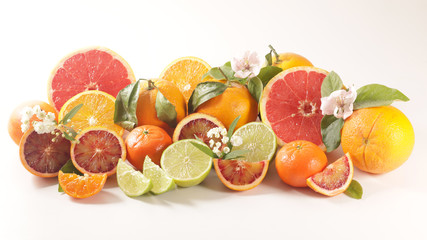 citrus fruit assortment isolated on white background