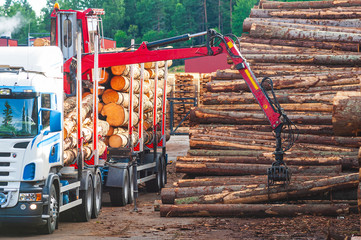 Lorry lifting timber piles, Sweden.