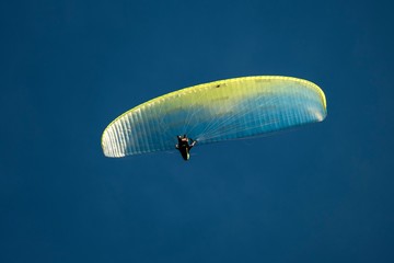 paraglider