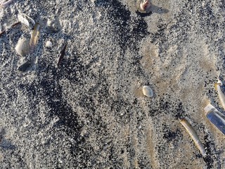 footprints in the sand