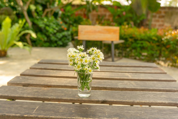 Bouquet of petite pure white petals of Chrysanthemum tea or Flower tea blossom in a glass vase on wooden table in a garden