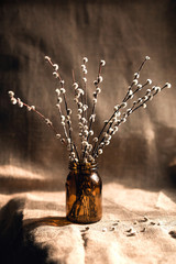 A bunch of fluffy willow twigs in a dark glass vase on a background of burlap. © Екатерина Савёлова