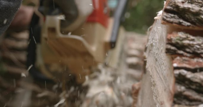 Rack focus from stump to chainsaw slow motion chain sawing a tree.